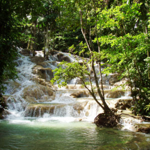 Dunn’s River Falls, Ocho Rios & Highlights Tour from Montego Bay