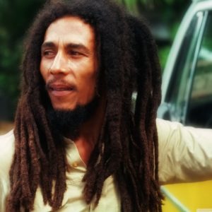 Dunn’s River Falls & Bob Marley Nine Miles Tour from Falmouth