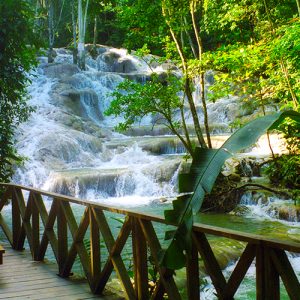 Dunn’s River Falls Tour from Montego Bay