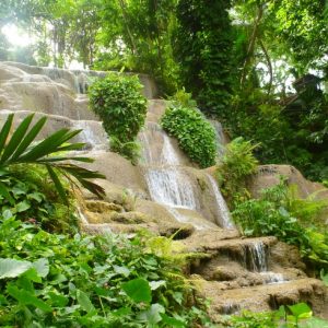 Konoko Falls, River Gardens, Taino Museum, Fern Gully & Ocho Rios Highlights Tour from Montego Bay